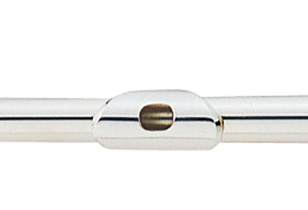 MAXTONE Flute TF-40S with Semi-Hard Case, Silver-Plated Finish