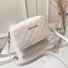 2026 Tassel Small Messenger Bag For Women Trend Lingge Embroidery Camera Female Shoulder Bag Fashi Chain Ladies Crossbody Bags