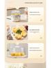 Compact Stainless Steel Automatic Egg Boiler with Auto-Off
