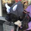 ABBP-2X Pet Triceratops Dog Dinosaur Hat Pet Cat Dog Hat Pet Transformation Cap Pet Headgear Costume Dog Hat Cap