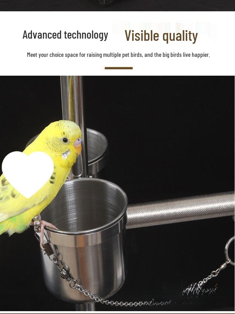 Stainless Steel Bird Stand with Ankle Chain for Large Parrots and Cockatiels