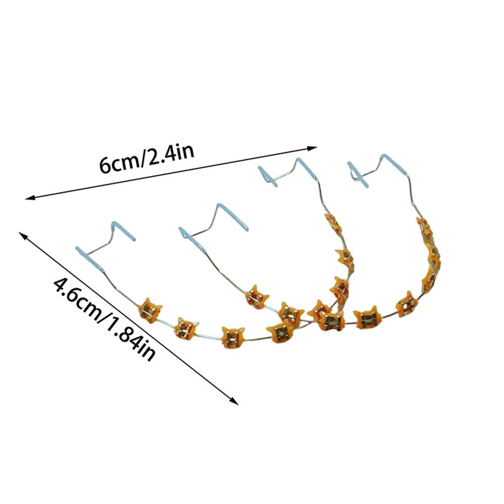 2Pcs Colored Dental Decor Braces with Storage Box Orthodontic Metal Wires Bracket Cartoon Pattern for Daily Tooth Protect