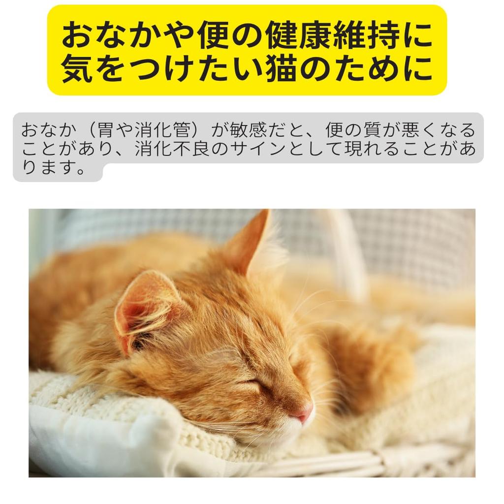 Royal Canin Digestive Care Food for Cats Aged 12 Months and Older Who Want To Maintain Healthy Bowels and Adult Cat FCN Maintains Urinary Digestive