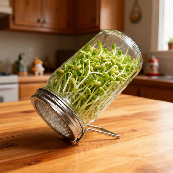 1/2 ks 86MM Nerezová víčko na klíčení pro zavařovací sklenici Víčko pro pěstování fazolových klíčků Klíčení rostlin mungo Širokohrdlá sklenice Sítko Síťované víko