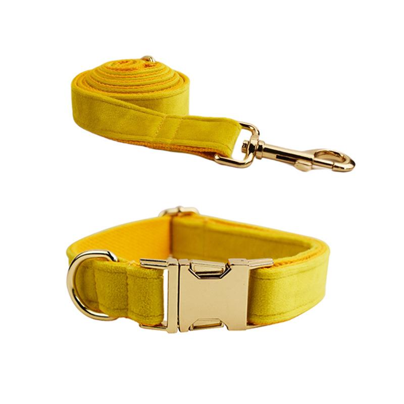 Pet collar, dog leash, dog collar, yellow velvet. XS