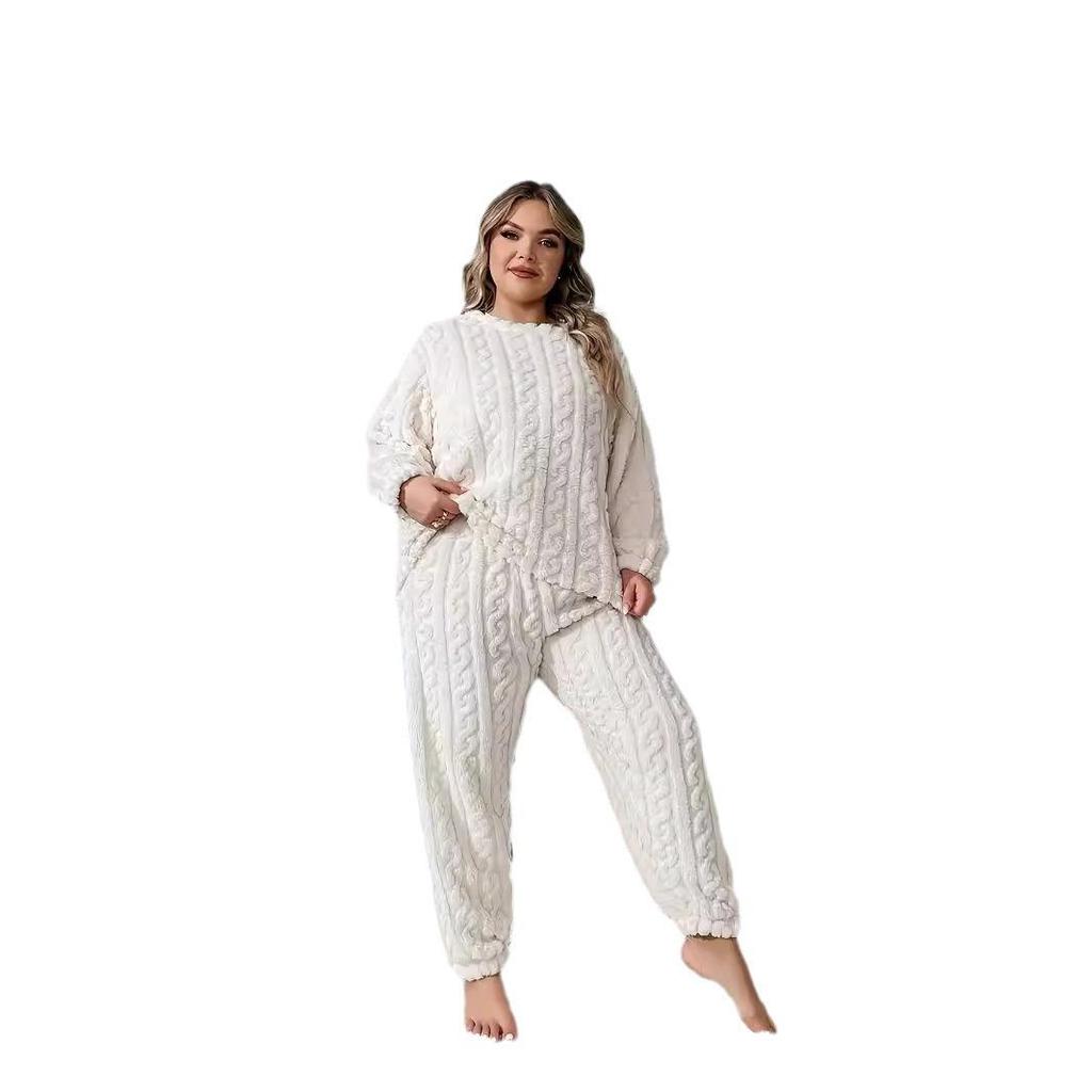 Women's Plush Crew Neck Casual Long Sleeve Top and Pants Set