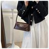 Popular Cross-border Small Purse Women 2023 Winter Chic Compact Underarm Bag Streetwear Shoulder Bag