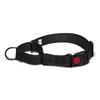 Adjustable Pet Dog Collars Safety Lock On Nylon Golden Retriever Neck Leash Accessories Outdoor 2 in 1 P Chain Pet Supplies