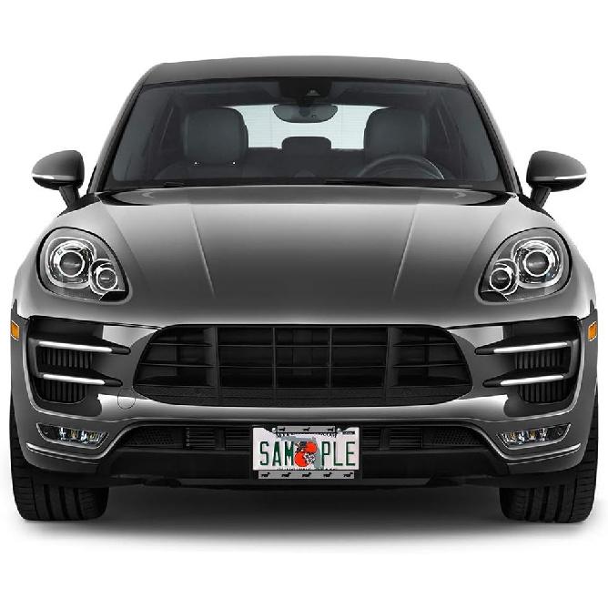 Fastasticdeals Metal ert License Plate Frame Dachshund Black Weatherproof Car Accessories Chrome 2 Holes Solid ert