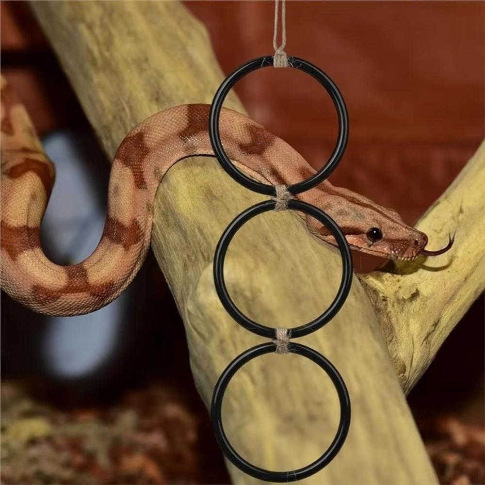 Acrylic Snake Climbing Rings 3 Ring Gecko Climbing Rings  for Birds Corn Snakes Parrot