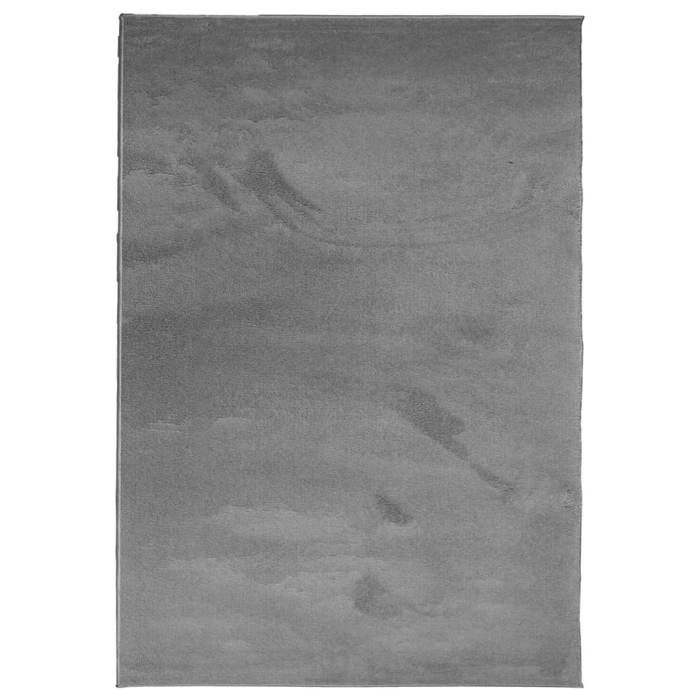 VidaXL Tapis à Poils Courts, Moquette de Sol, Tapis de Zone, Carpette de Salon Chambre Salle de Séjour, Moderne, Anthracite 375473
