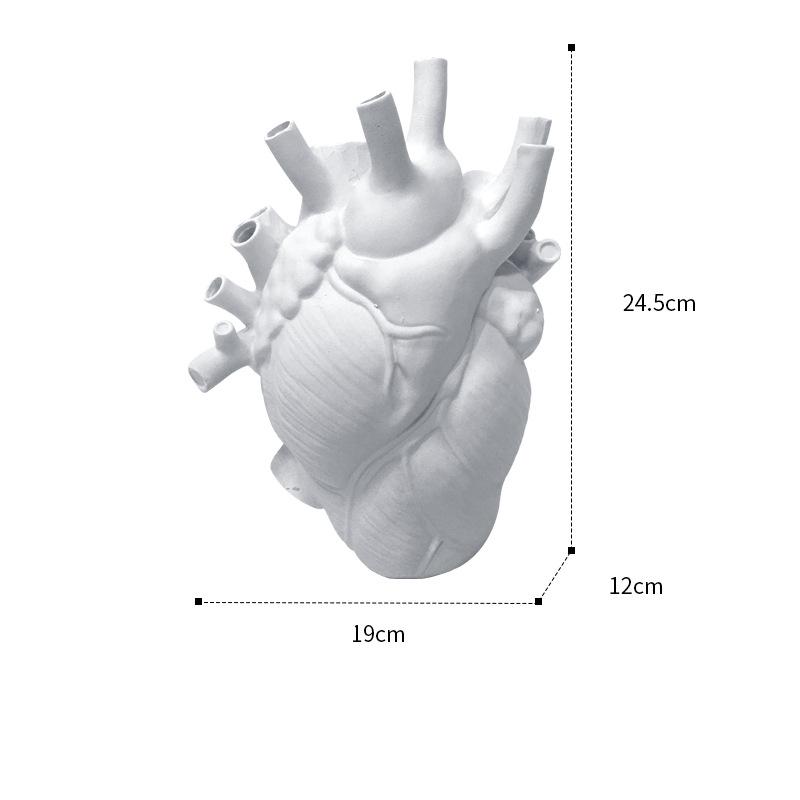 Vase Nordic Style Heart Shape Anatomical Flower Flower Pot Dried Vases Sculpture Desktop Plant Pot for Home Decor Ornament Gifts