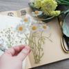 Cusutul și lucrul manual – Scrapbooking