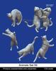 Mantis Miniatures Animal Set 59 Cat Resin Kit Man35187 1/24 (Animal)