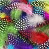 100PCS Natural Guinea Fowl Pheasant Feathers Natural Feathers Spotted 5-8cm Feathers for Crafts Dream Catcher Plume Decoration