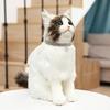 Cat Collar Necklace for Cat  Dog Kitten Neck Collar Anti-strangling Cat Decoration Necklace Puppy Kitten Ornament Pets Supplies