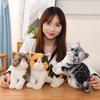New Doll Cat Doll Cute Plush Toy Little Flower Cat Cat Star Doll
