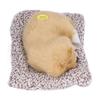 Realistic Sleeping Dog Realistic Sleeping Puppy Children Toys Decorations Gifts for Boys GirlsLabrador