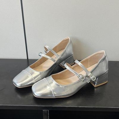 French Thick Heel Silver Single Shoes Women's Spring and Autumn Mid-heel 2025 New Fairy Evening Breeze with Skirt Mary Jane High Heels