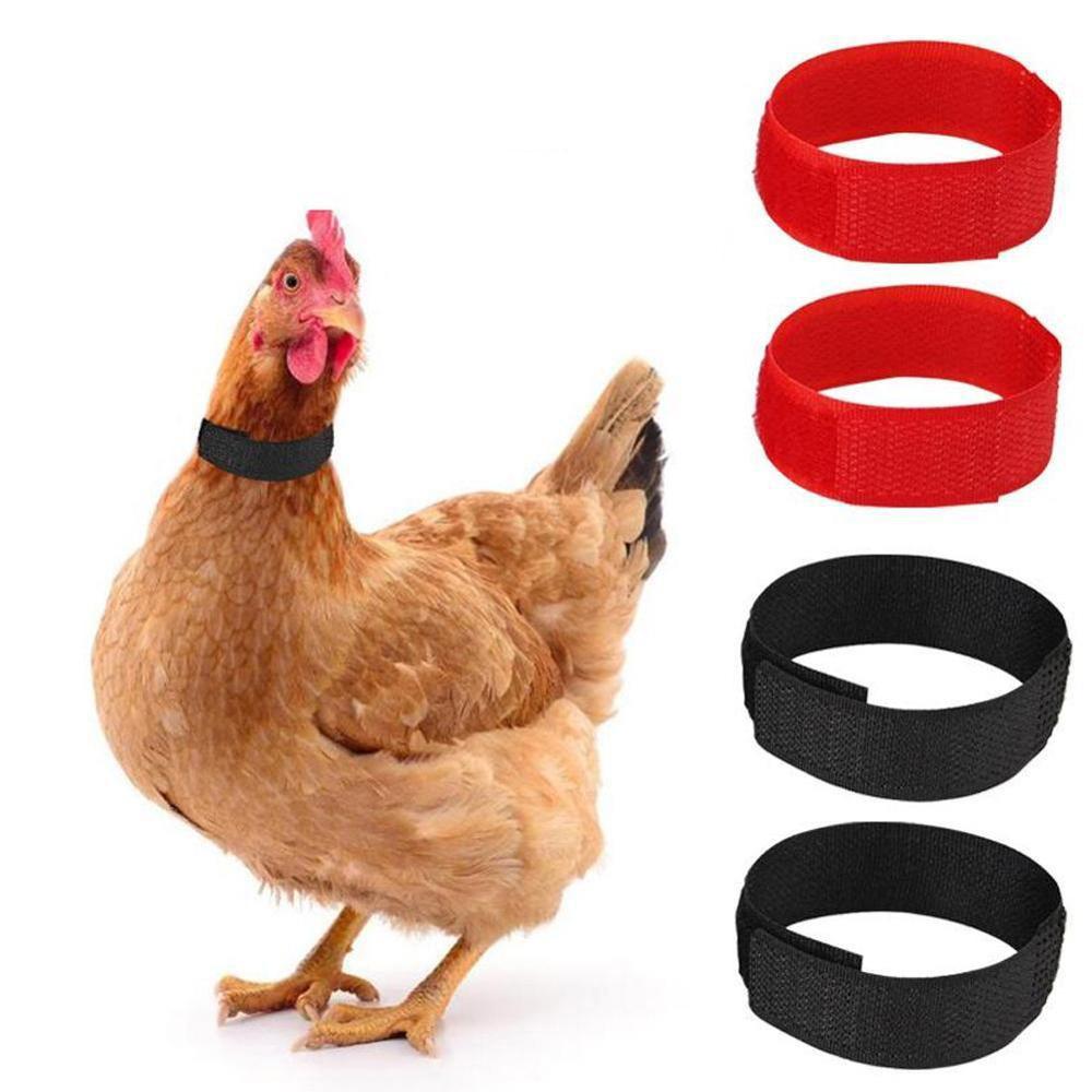 

Free For Cockerel Cock Poultry Neckband Farm Animal Supplies Chicken Neck Strap Rooster Collar Upgraded Version красный