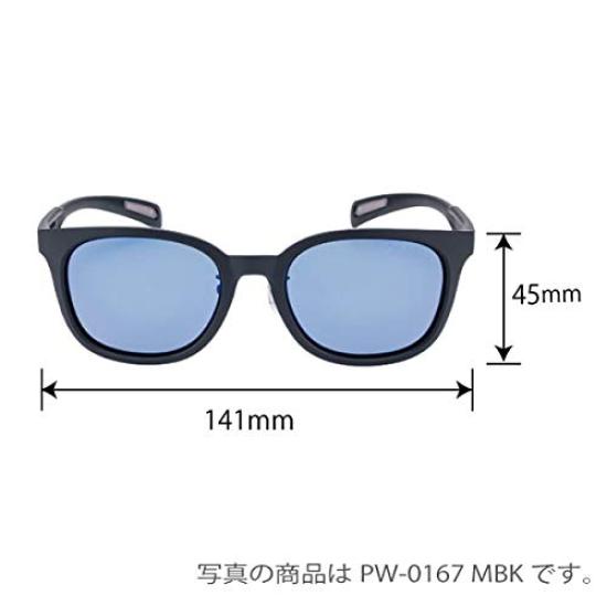 Swans DF Pathway Sunglasses with Polarized Lenses, Model PW-0053 MBK, Matte Black X Matte Black