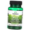 Schwarze Johannisbeere Extrakt, Full Spectrum Black Currant 400, 60 Kapseln (71280345)