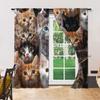 Set Of 2 Versatile Polyester Transparent Curtains Home Decoration Cute Cats Use Bedrooms Living Rooms Curtain Ideal For Great Room