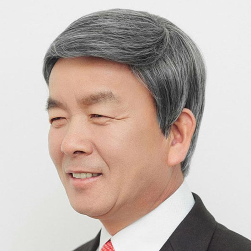 Middle-aged and Elderly Wigs, Flowery White, Men's Short Hair Wigs, Full Wigs