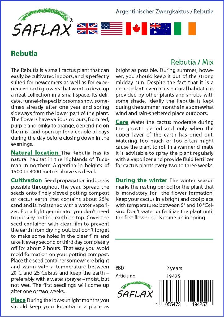 SAFLAX Rebutia - 40 Seeds - With Potting Substrate for Better Cultivation - Rebutia Mix