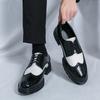 Men's Leather Shoes Trend Low-top Pointed Casual Shoes Spring and Autumn New British Business Dress Color Matching Lace-up Men's Shoes