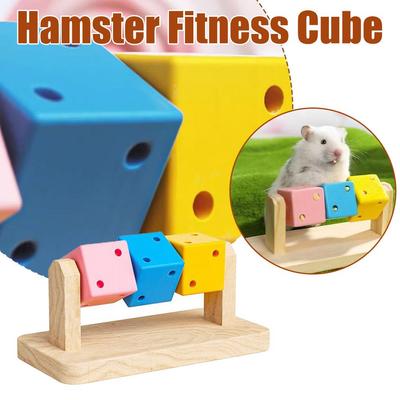 Hamster Fitness Würfel Bunt Facettenreich Aktivitäts Stressabbau Und Antidepressive Spielzeuge Für Hamster Sport