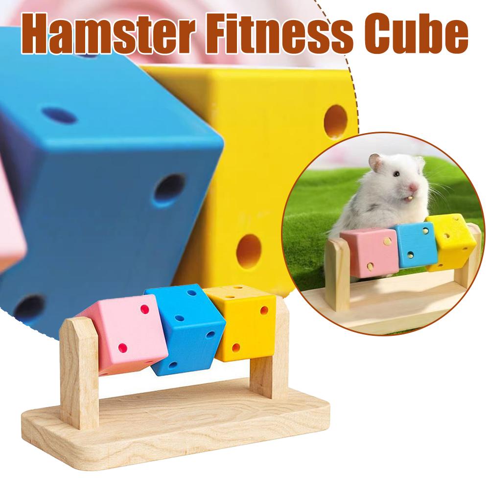 Hamster Fitness Cube Colorful Multi Faceted Activity Stress Relieving And Anti Depressant Toys For Hamster Sports