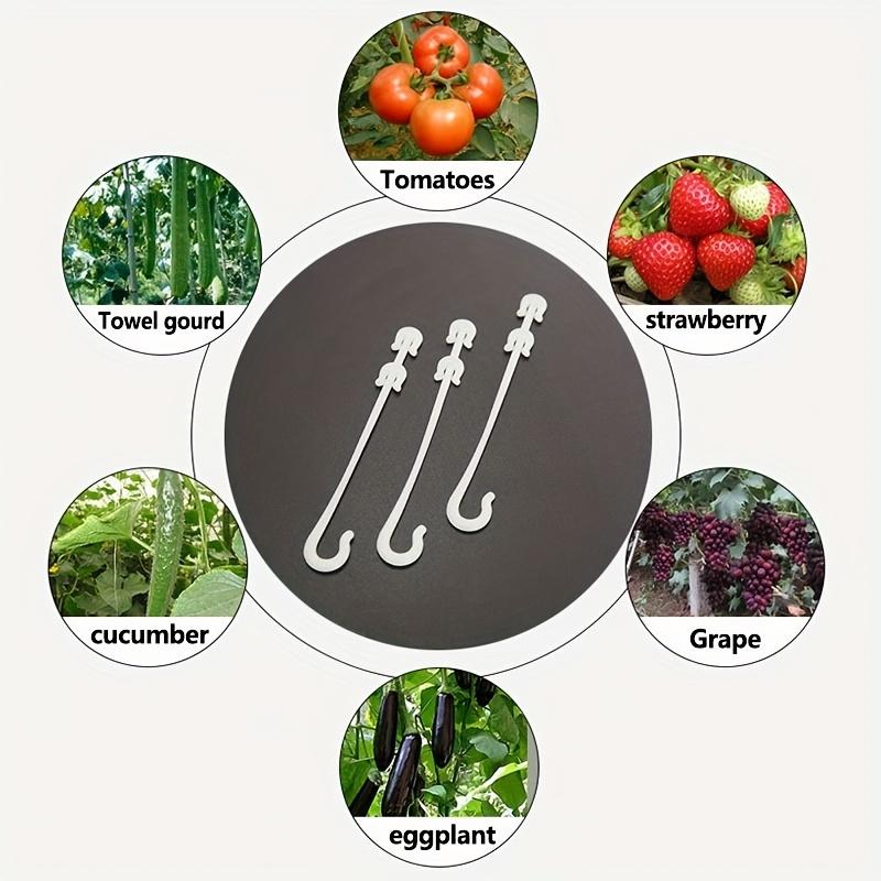 10pcs, Plastic Fruit Support Hooks, Tomatoes Vegetable J-Hook Tomato Truss Hooks For Supporting Plants And Vegetables, Pots