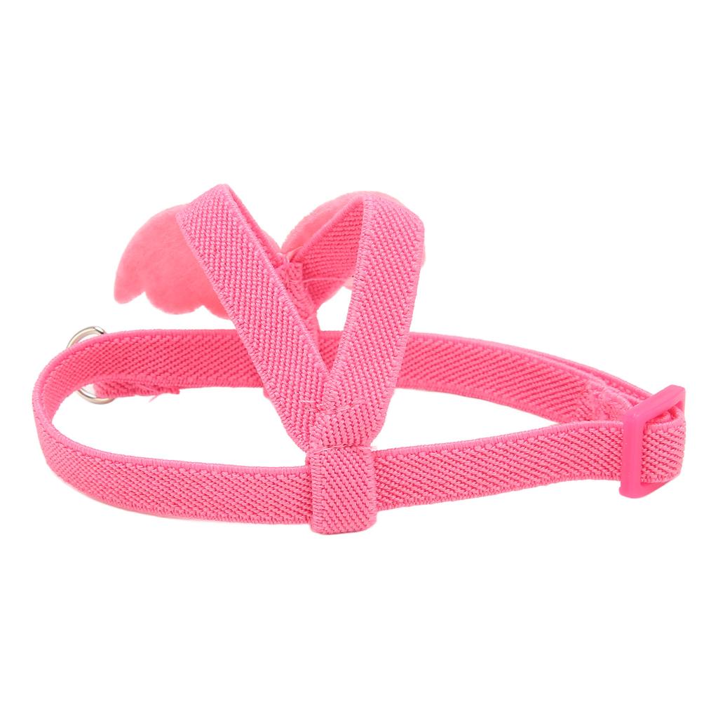 Bird Harness Leash Bite Resistant     Light Bird Traction Rope for   Training