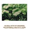 SKIN 1004 - Madagascar Centella Probio-Cica Enrich Cream Mini