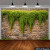 Rustic Countryside Green Leaf Stone Wall Outdoor Photo Background