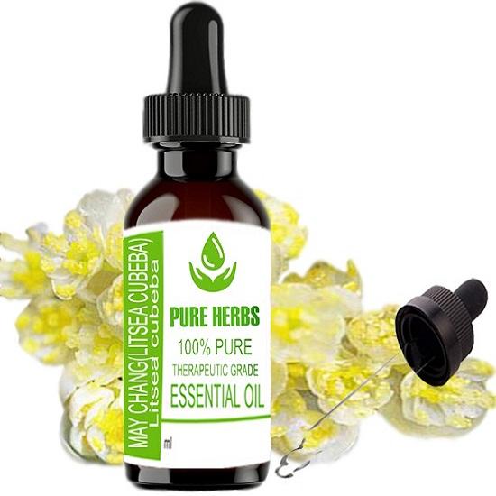 Pure Herbs May Chang (Litsea Cubeba) ((Litsea Cubeba) Pure & Natural Therapeutic Grade Essential Oil Plastic with Dropper