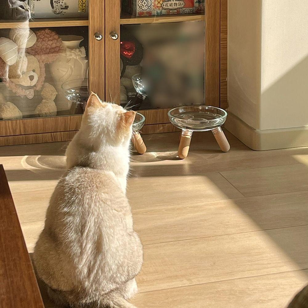 Transparent Cat Feeder with Stand Protect Neck Ins Cat Feeding Dishes Raised Pet Food Basin  Puppy