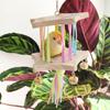 Wooden Bird Hanging Swing Colourful Bird Toy Hammock Parrot Swing Toy  Small Pet Entertainment