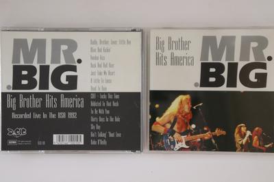 CD MR BIG - Big Brother Hits America DGCD010 DV GIG Nicht Japan Metal Gebraucht