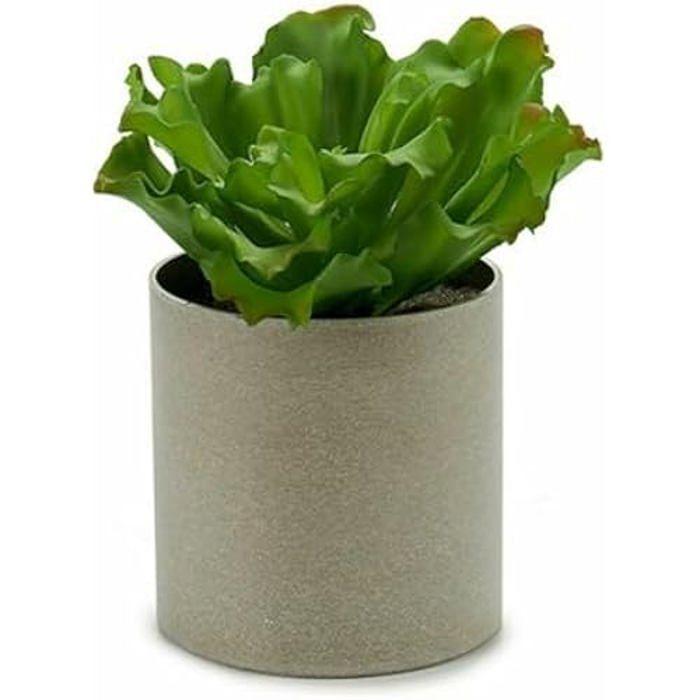 Decorative Plant - IBERGARDEN - 20 X 25 X 20 Cm - Multicoloured - Set of 6 Units