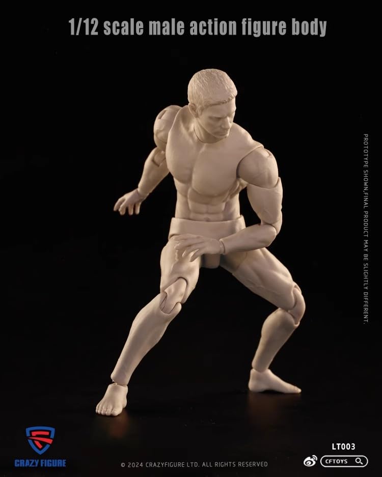 Scale Action Figure CRAZY FIGURE LT003 Male Movable Action Jointed Body and Head [TOYBARJAPAN] 1/12