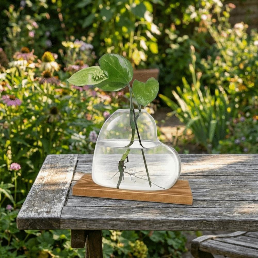 Decorative Love Shaped Vase Wooden Stand Plant Propagation Station  Living Room