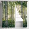 Juego de 2 Cortinas Bosque de Abedules Nórdico – Árboles Blancos con Luz Solar en Forma de Corazón, Cortinas Filtrantes de Luz con Pasacables