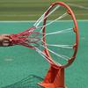 Yangshi Portable Basketball Stand