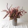 Wabi-Sabi Retro Floral Arrangement with Eucalyptus & Reed Grass for Home Decor & Photography