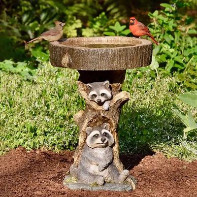 Bagno per uccelli da giardino antico in poliresina con procione in resina per giardino domestico
