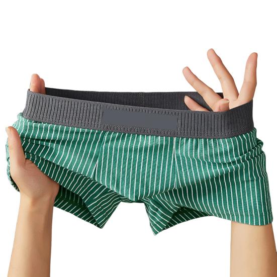 Pánské boxerské spodní prádlo Středně vyvýšený pruhovaný potisk Patchwork Barva Tenké šortky Kalhotky Rychleschnoucí U-konvexní kalhotky