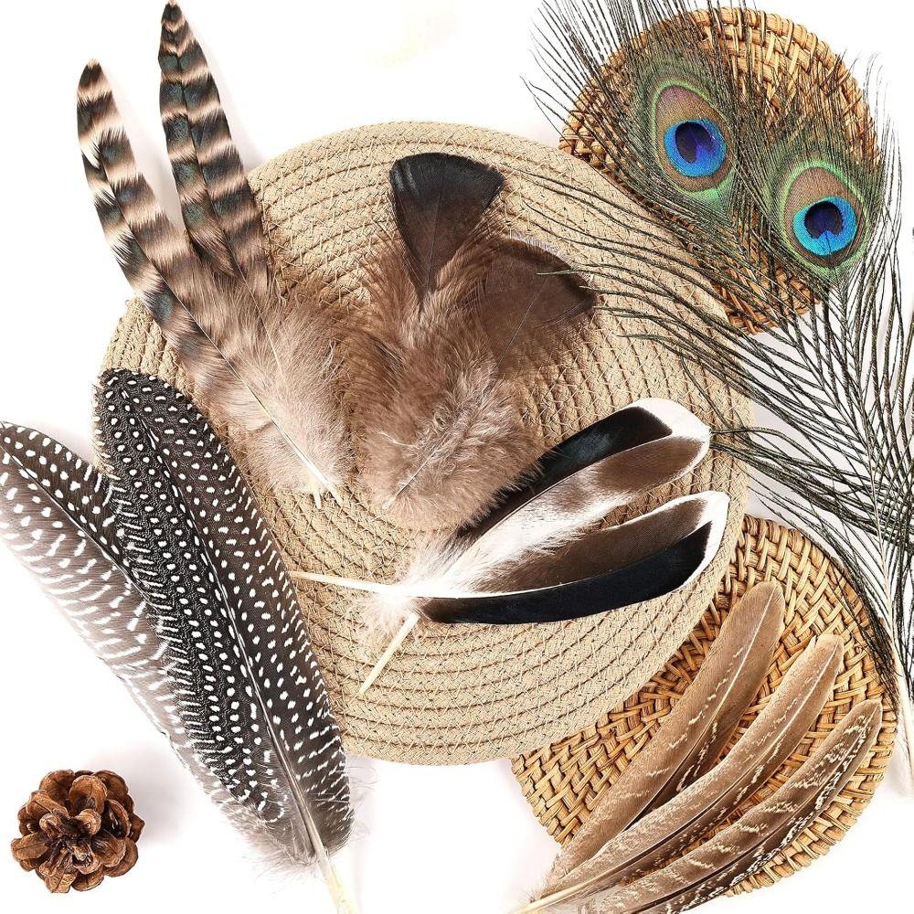 40/48Pcs Assorted Mixed Feathers Long Pheasant Plumage Beautifully Natural Feathers Bulk  Wedding