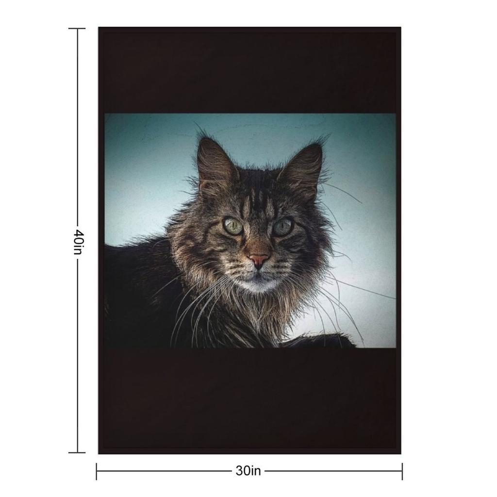 Maine Coon Kat Überwurfdecke Dekorative Stofftiere Niedlich Kariert Riesige Sofa Decken